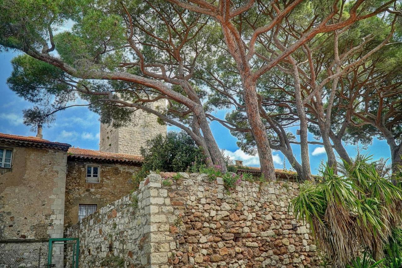 Immogroom - 5 Min From Beaches - Suquet - Ac Cannes Ngoại thất bức ảnh